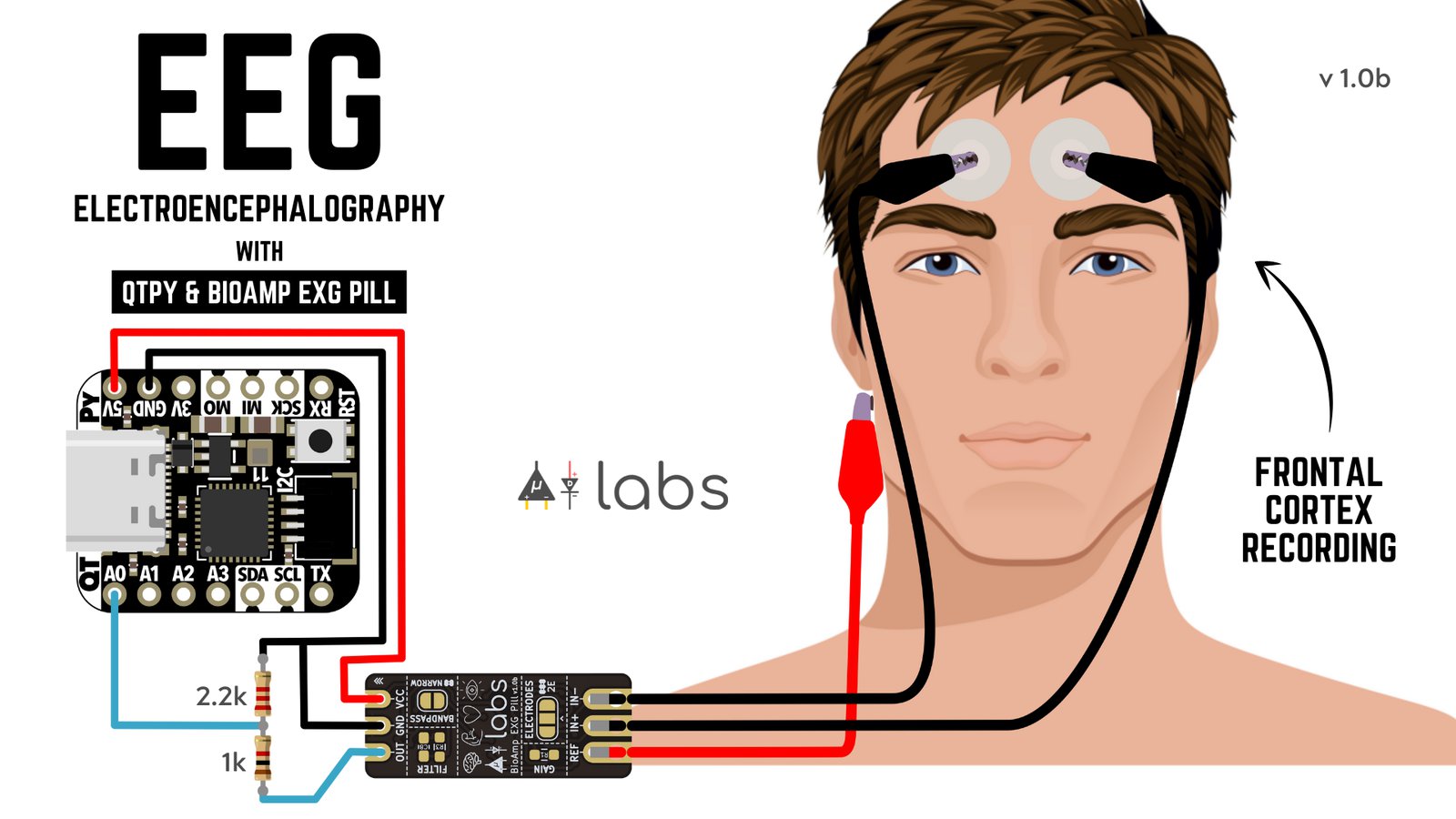 BioAmp EXG Pill - AdaFruit QT Py + BioAmp EXG Pill | Crowd Supply